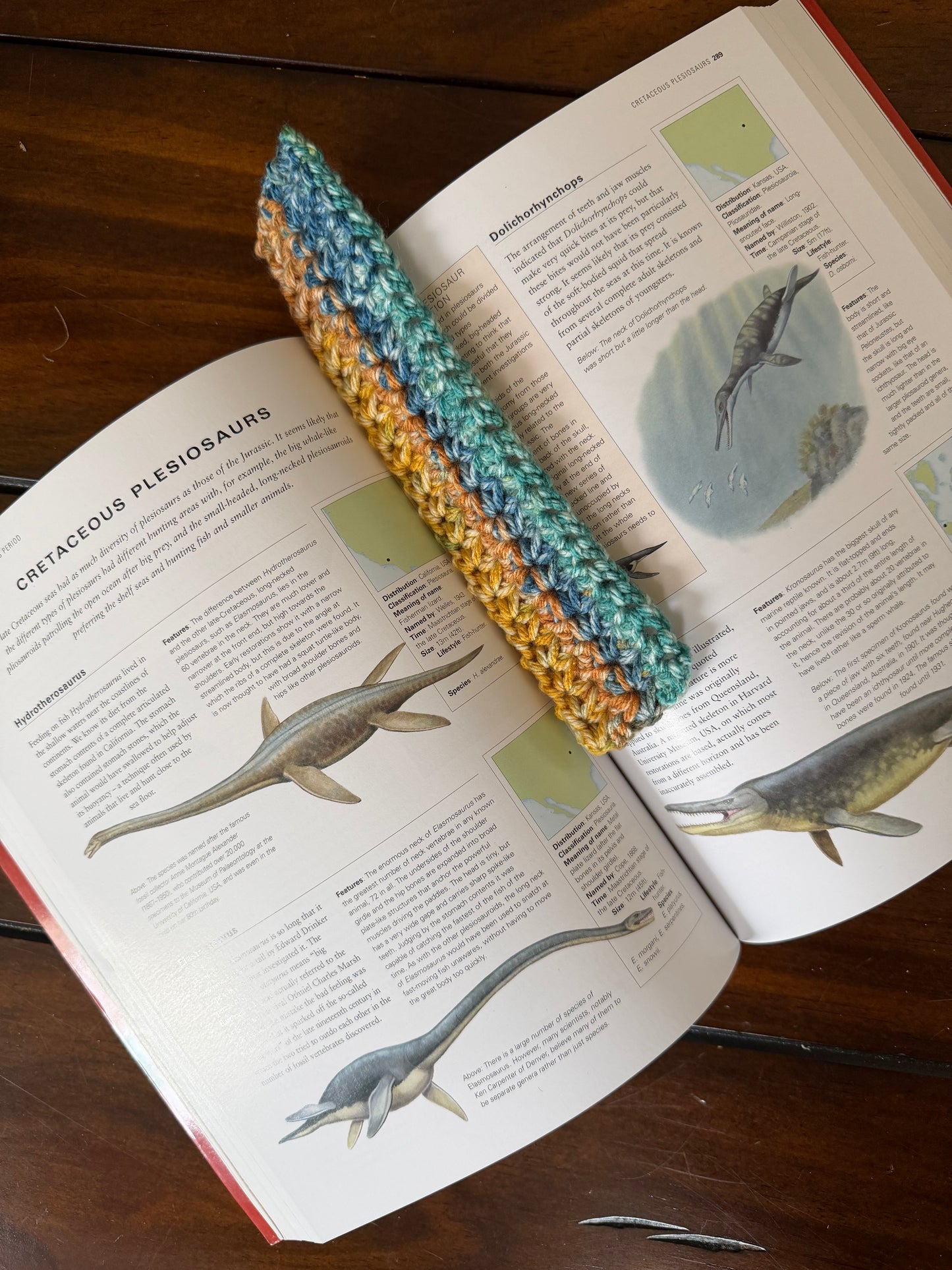 Crochet Bookmark